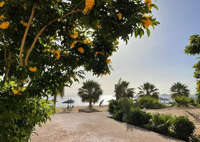 For Rent In The View 114 Apartment Hurghada